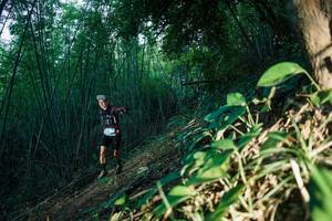 BIB: 
                            <button type="button" onclick="openModal(28123580)" class="btn btn-primary btn-sm float-right btn-popup" data-toggle="modal" data-target=".modal-high-quality">
                        <i class="fas fa-shopping-cart"></i> Add to Cart
                    </button>
                                            <button type="button" onclick="isThisMe(28123580, true)" class="btn btn-success btn-sm float-right btn-popup btn-isme hidden" data-toggle="tooltip" data-placement="bottom" title="นี่คือรูปของคุณใช่ไหม คลิกที่นี่เพื่อเอาเข้าอัลบั้ม">
                        <i class="fas fa-plus"></i> Add to album
                    </button>
                    <button type="button" onclick="isThisMe(28123580, false)" class="btn btn-warning btn-sm float-right btn-popup btn-isnotme hidden">
                        <i class="fas fa-ban"></i> Remove from album
                    </button>